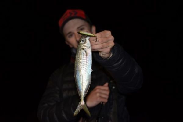 3 effective lures for ultra-light shore fishing for redfish