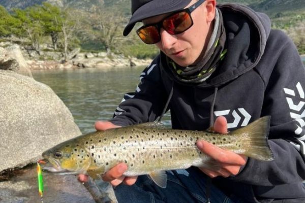 What type of hook is best for trout fishing with hard lures?