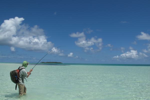 Seeing the fish, finding the fly and animation are the watchwords of sight-fishing for bonefish on a fly