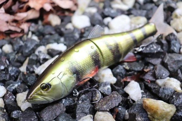 DOWZ SWIMMER ♾️240SF DOWZ SWIMMER ♾️240SF Dowz Swimmer – The Hook Up Tackle