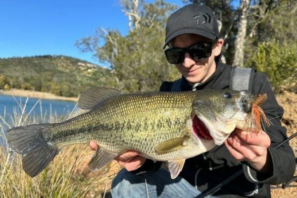 Black bass fishing with rubber jig flipping, formidable on the edges