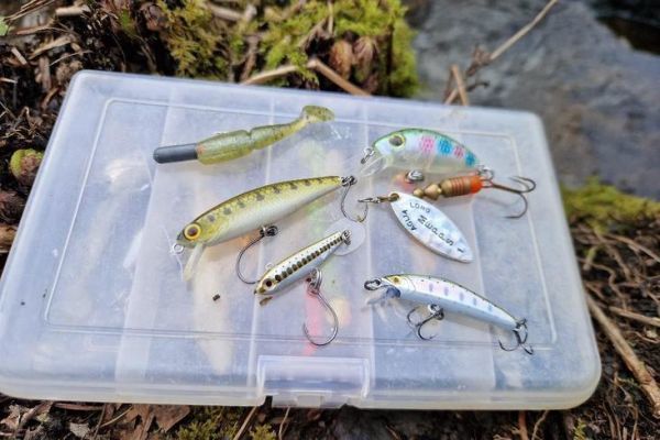 A selection of must-have lures for trout fishing