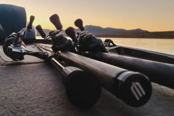 Edge Rods: the 8 must-have freshwater references