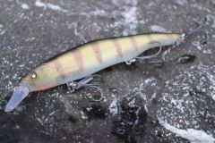 Nishine Erie 115 SD, a 2-in-1 floating and sinking jerkbait minnow!