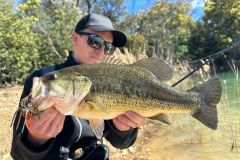 Chatterbait fishing for black bass
