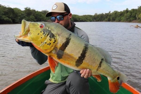 Budget for peacock bass fishing in the Amazon Budget for peacock bass fishing in the Amazon