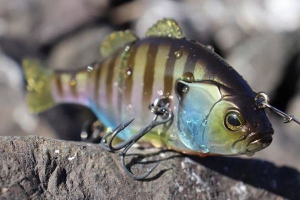 building fly fishing nets WFS 318 - How to Build a Fly Fishing Net with Ethan Igleheart - Stonefly  Nets