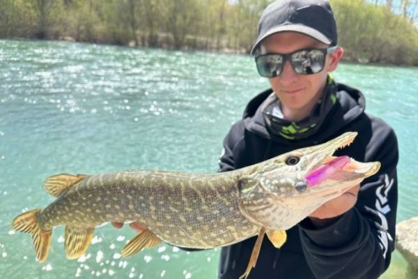 The impact of pike on first-category rivers