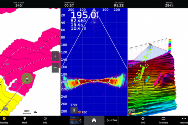 Fishing with a live sounder