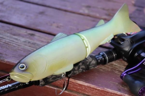 Deps New Slide Swimmer 250, always at the top over the years!