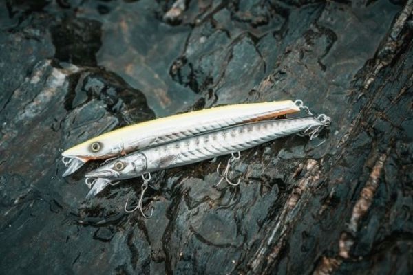 decathlon fishing lures Jerkuda, a Decathlon lure for barracuda fishing