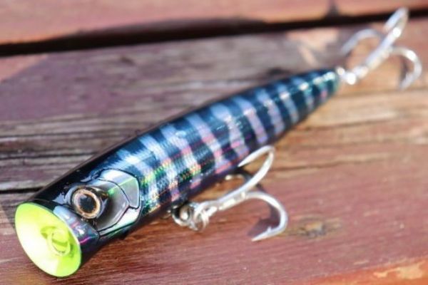 Bass Day Bungy Popper 160, an indestructible medium-sized lure