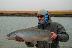 Sea trout is a formidable migratory species, mainly sought after in Northern Europe