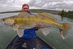 Large pike-perch caught vertically