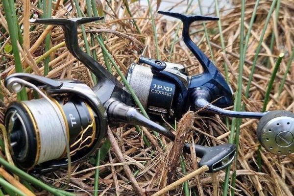 reel shimano casitas 151hg Shimano Casitas 151HG Baitcast Reel