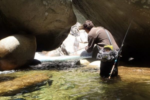 River trout, fishing upstream or downstream? How to fish upstream?