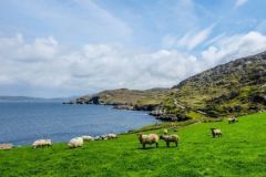 Ireland is a dream destination for fishing enthusiasts