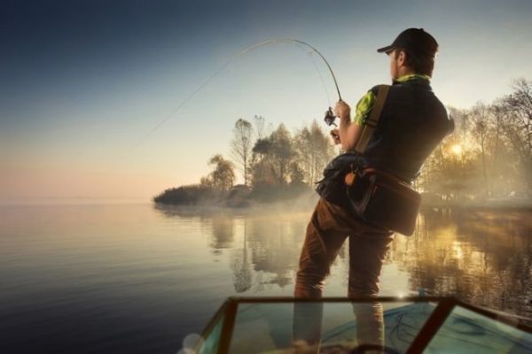 Don't lose your lures again: the Savior Ring, the ally of predator anglers