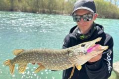 What is the advantage of the capture window for pike?