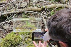 Using a nano aquarium for fishing