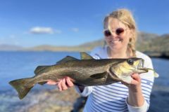 A look back at the best fishing moments of our stay in Ireland