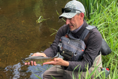 Imitation caterpillars, then butterflies, catch beautiful trout