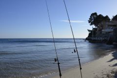 Summer is a good season for surfcasting