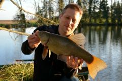 A nice specimen of tench that couldn't resist the feeder technique