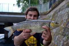 Summer chub fishing