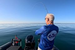 Summer sea bass fishing