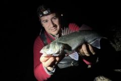 Sea bass fishing at night