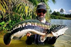 Different techniques for fishing giant snakeheads