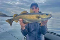 In summer, you can still fish for pollack!