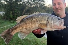 Fishing for black bass