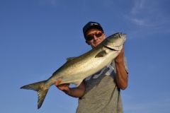 Live fishing in the Mediterranean