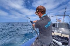 The 2025 bluefin tuna fishing season is in full swing.