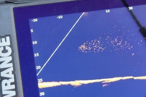 Live sea fishing, targeting big fish with technology