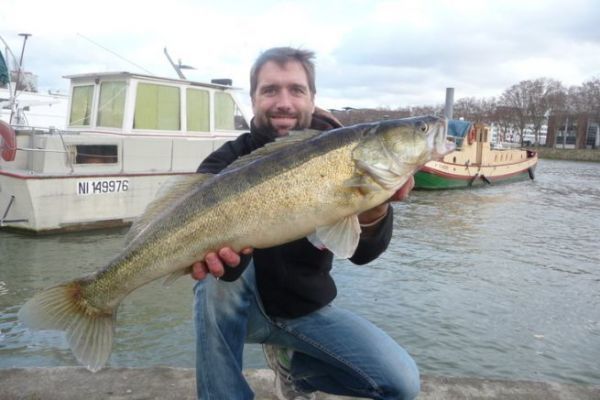 Fishing spots: current dampeners for rivers and streams