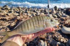 Marble fishing with bait