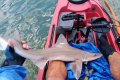 Fishing for emisole