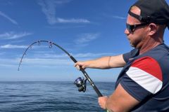 Bluefin tuna in summer
