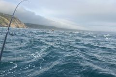 Windy conditions are ideal for bass fishing!