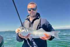A look back at summer outings in the Nord-Cotentin region