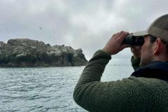 The use of stabilized binoculars has become commonplace for the assiduous tuna angler. To try them is to realize