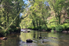 River fishing is already closed, but that doesn't mean the season is over!