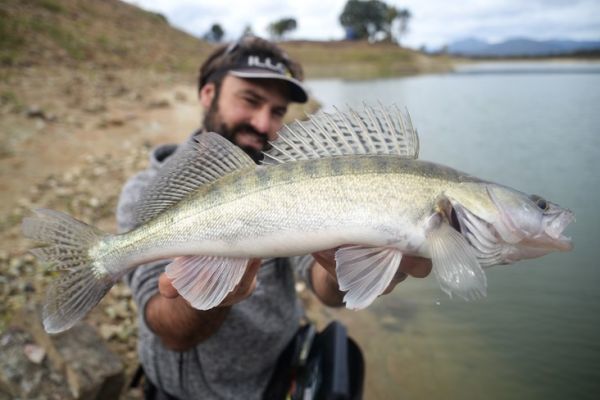 Pike-perch fishing from the shore