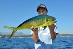 Declare all your catches?