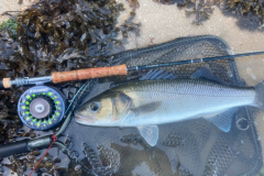 Autumn is an interesting time for bass fishing.