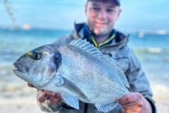 A beautiful sea bream caught on a sheltered beach in North Finistre