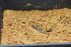 Freshwater bait fishing